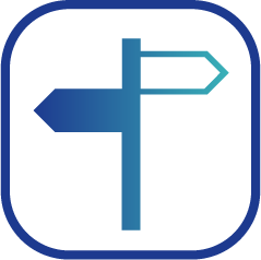 City Guide
