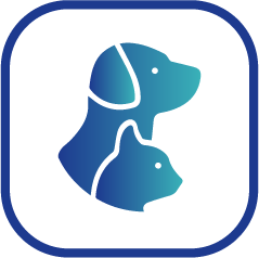 Online Sterilization Appointment