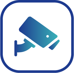 City Cameras