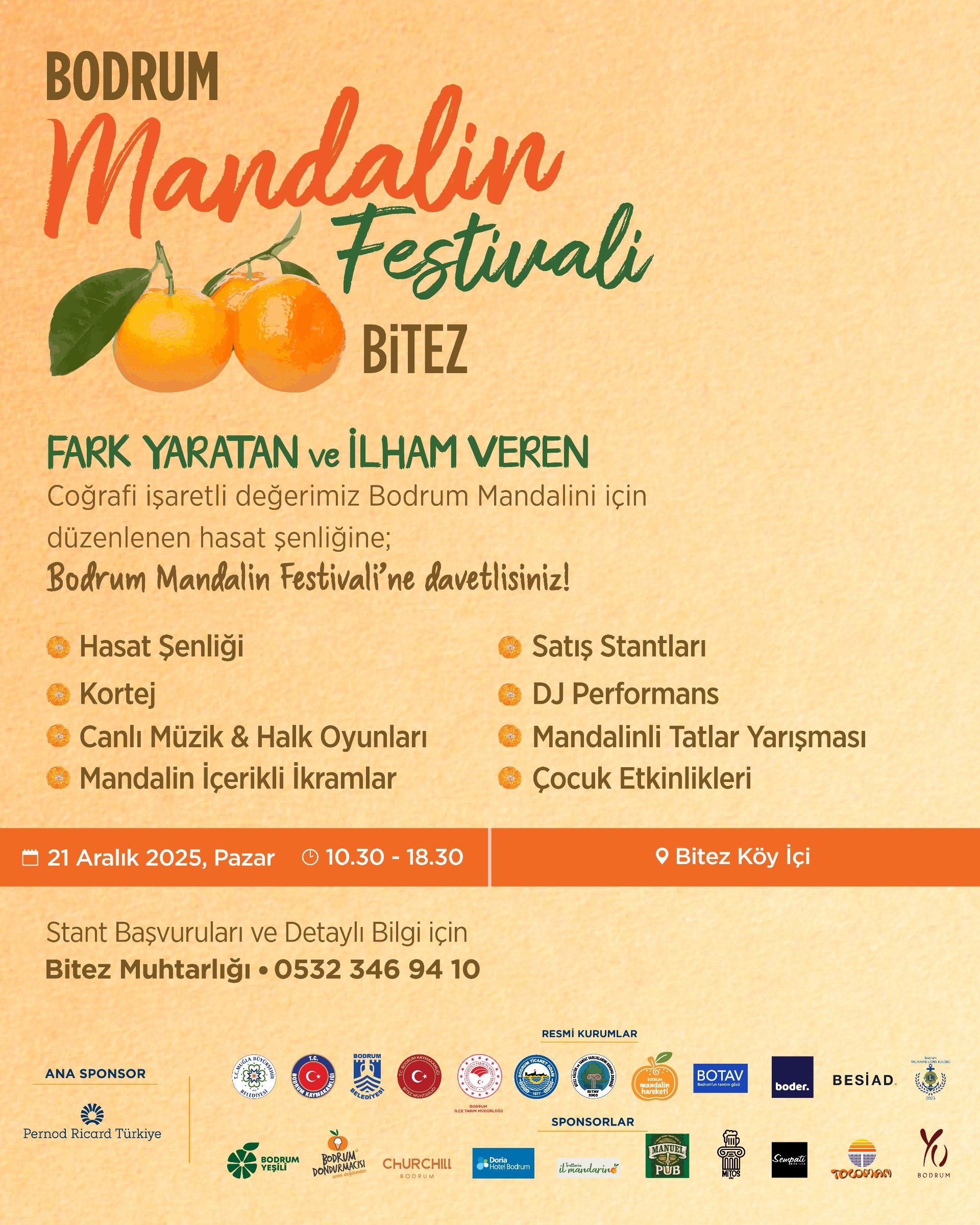 Mandalin Festivali