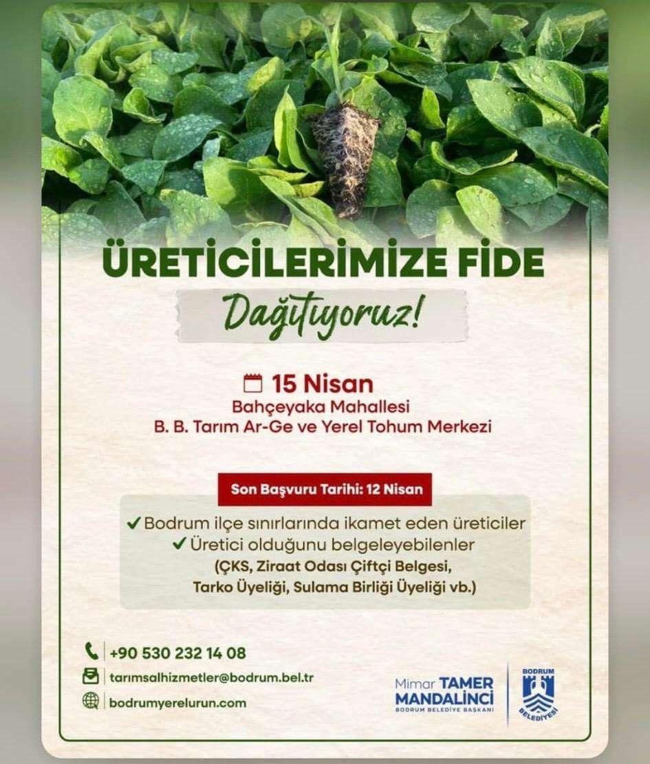 Üreticilere Fide Dağıtımı