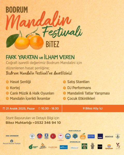 Mandalin Festivali