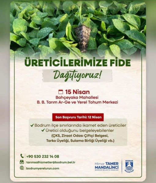 Üreticilere Fide Dağıtımı