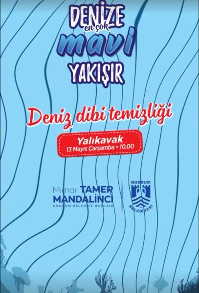 Deniz Dibi Temizliği-Yalıkavak