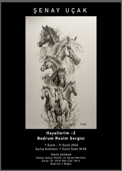 Şenay Uçak  Hayallerim - 2  Bodrum Resim Sergisi