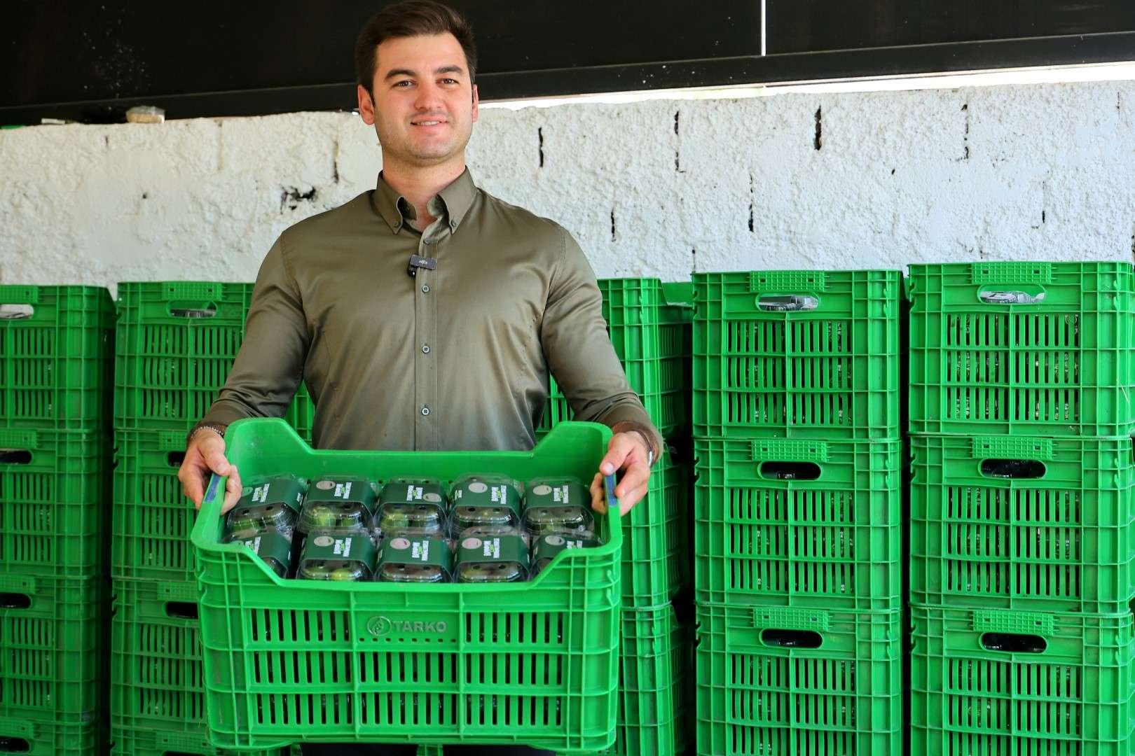 YEŞİL BODRUM MANDALİNİ MARKETLERDE VE BELEDİYE KAFELERDE VATANDAŞLA BULUŞUYOR