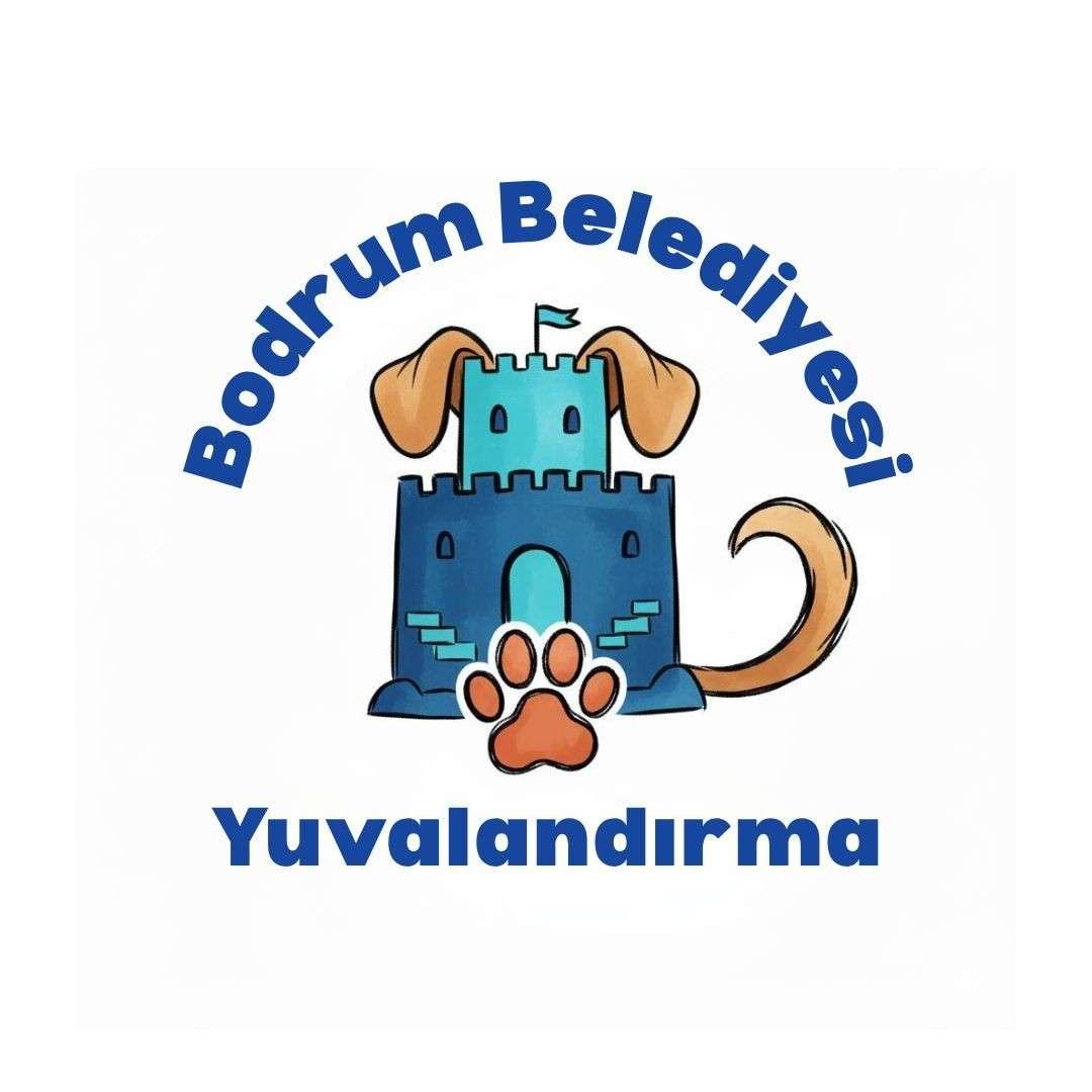 BODRUM BELEDİYESİ YUVALANDIRMA PLATFORMU HAYATA GEÇTİ
