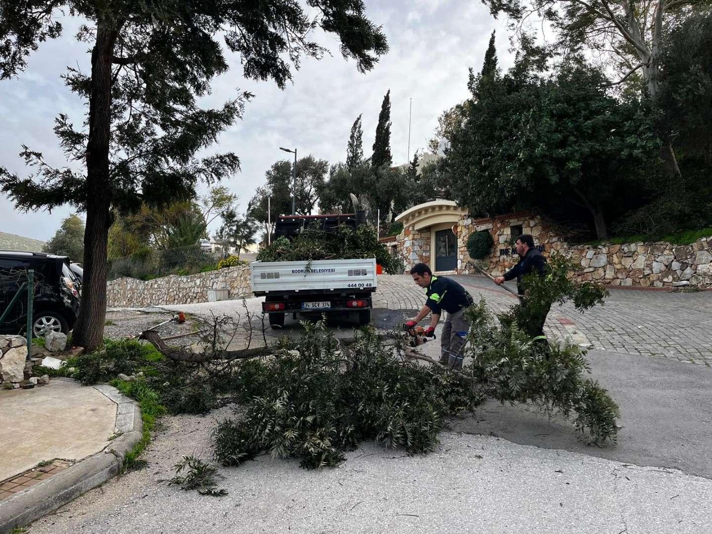 PARK VE BAHÇELER EKİPLERİ FIRTINADA SAHADAYDI