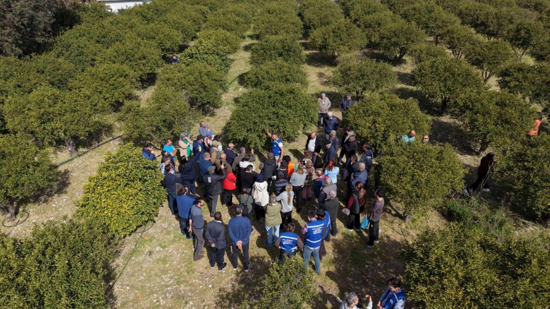 BODRUM’DA AĞAÇ BUDAMA EĞİTİMİ DÜZENLENDİ