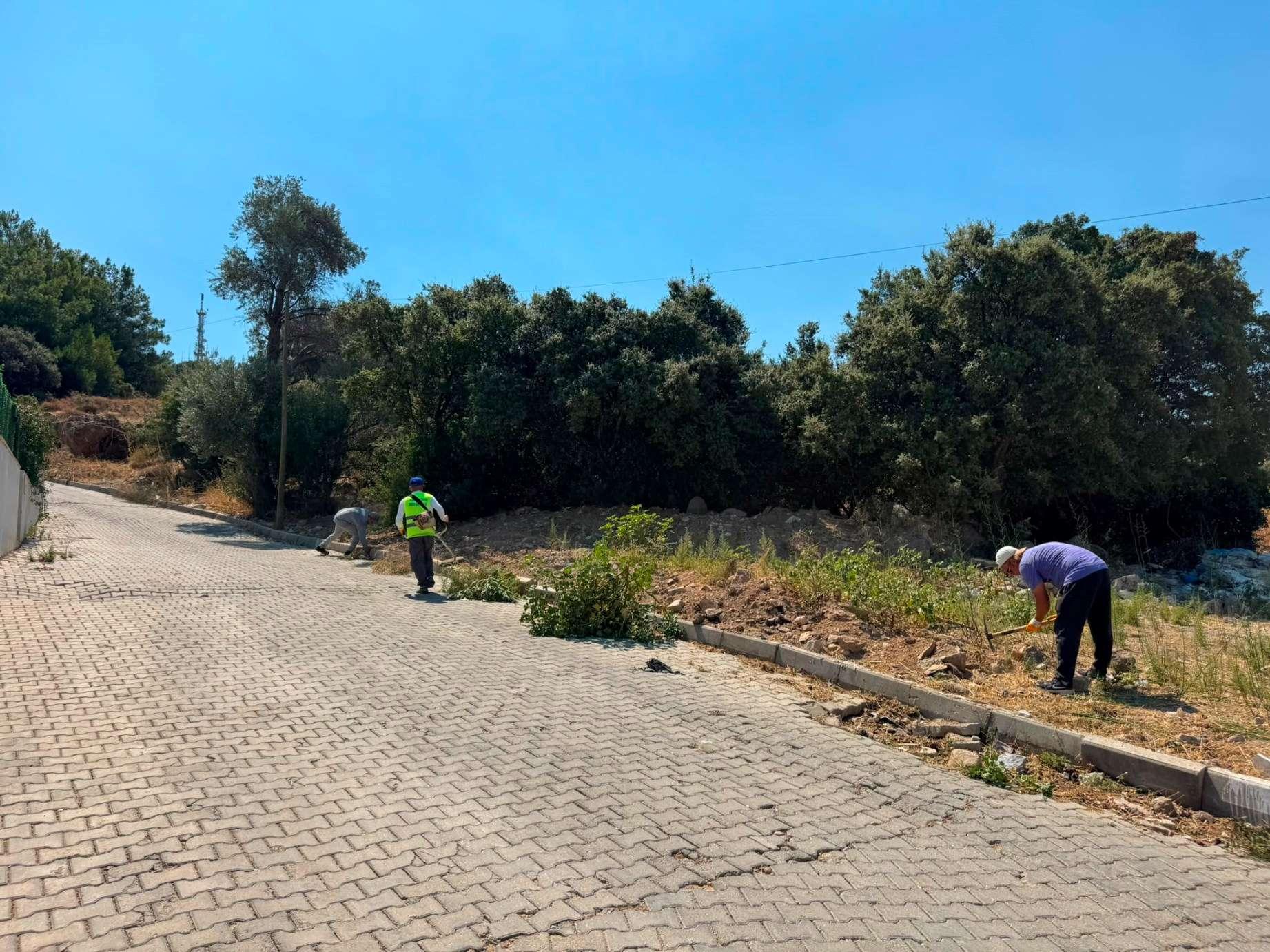 BODRUM'DA OT TEMİZLİĞİ ÇALIŞMALARI SÜRÜYOR
