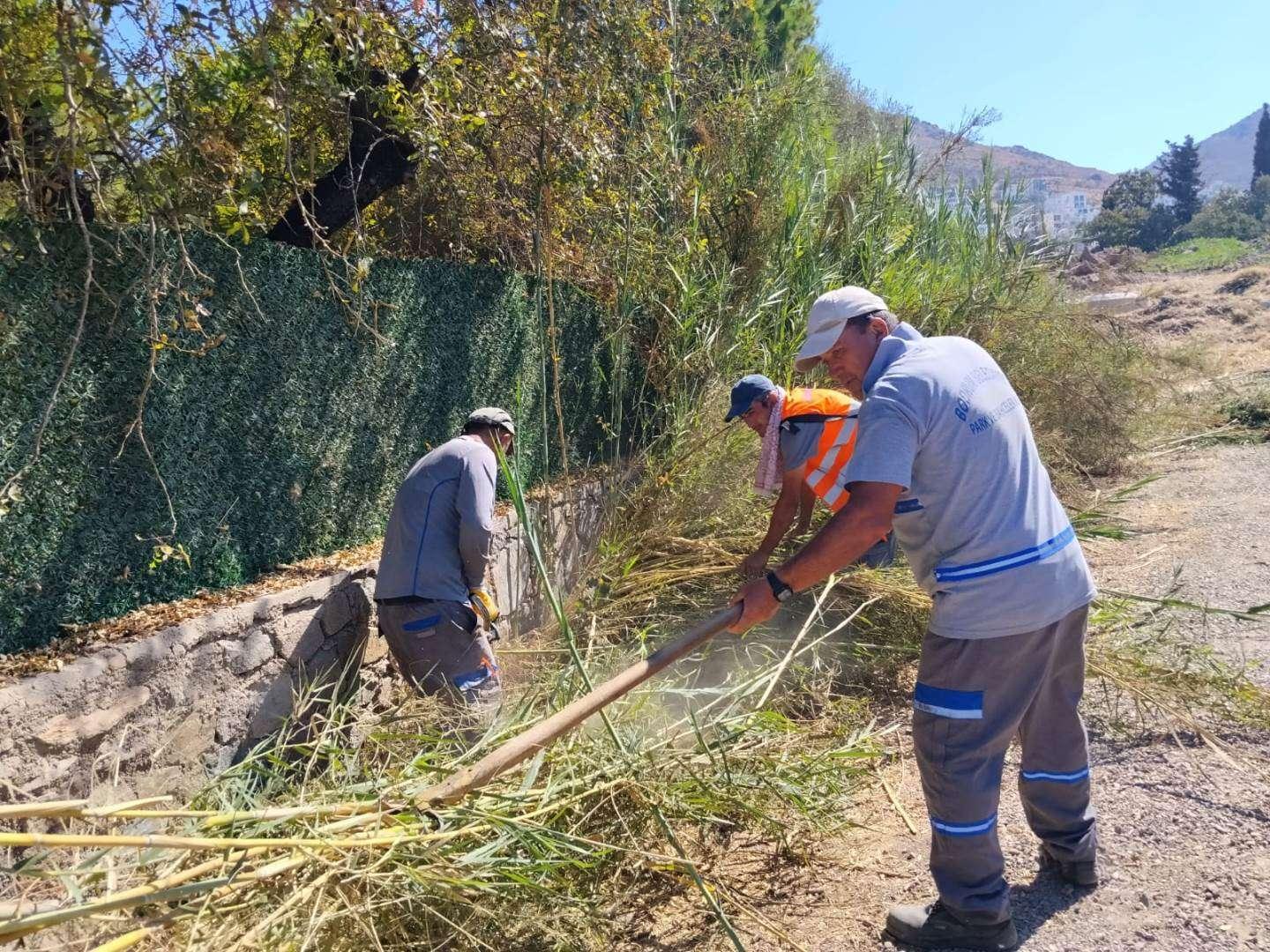 BODRUM’DA OT TEMİZLİĞİ ÇALIŞMALARI SÜRÜYOR