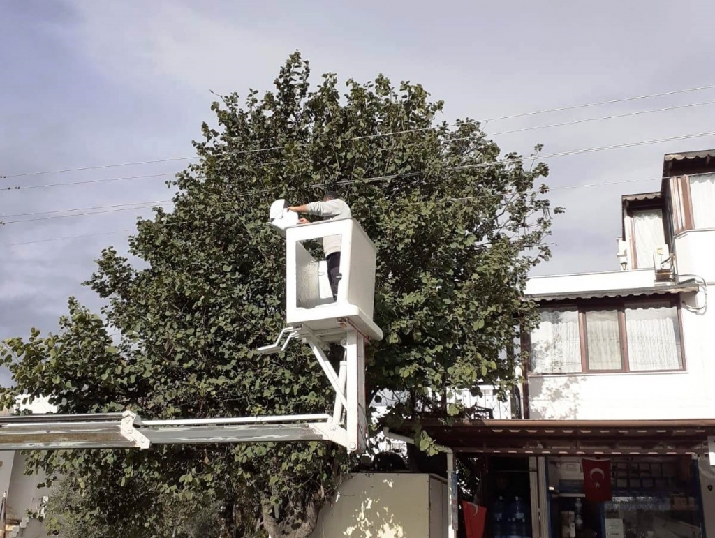 TEHLİKE ARZ EDEN DALLARA MÜDAHALE