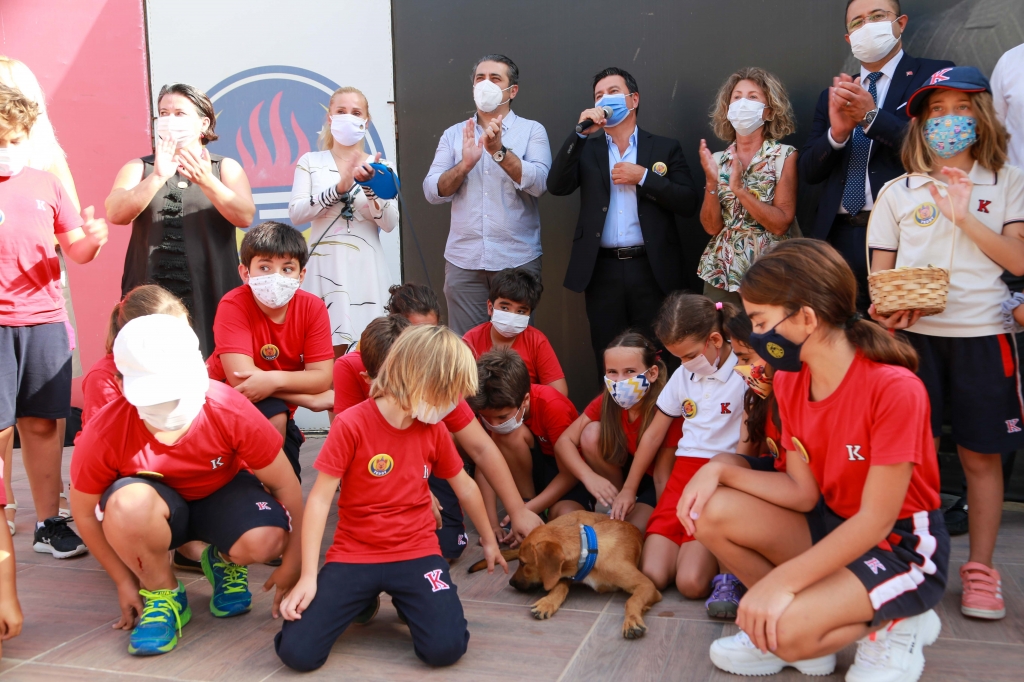 TEDDY GÜZEL BİR YUVAYA KAVUŞTU