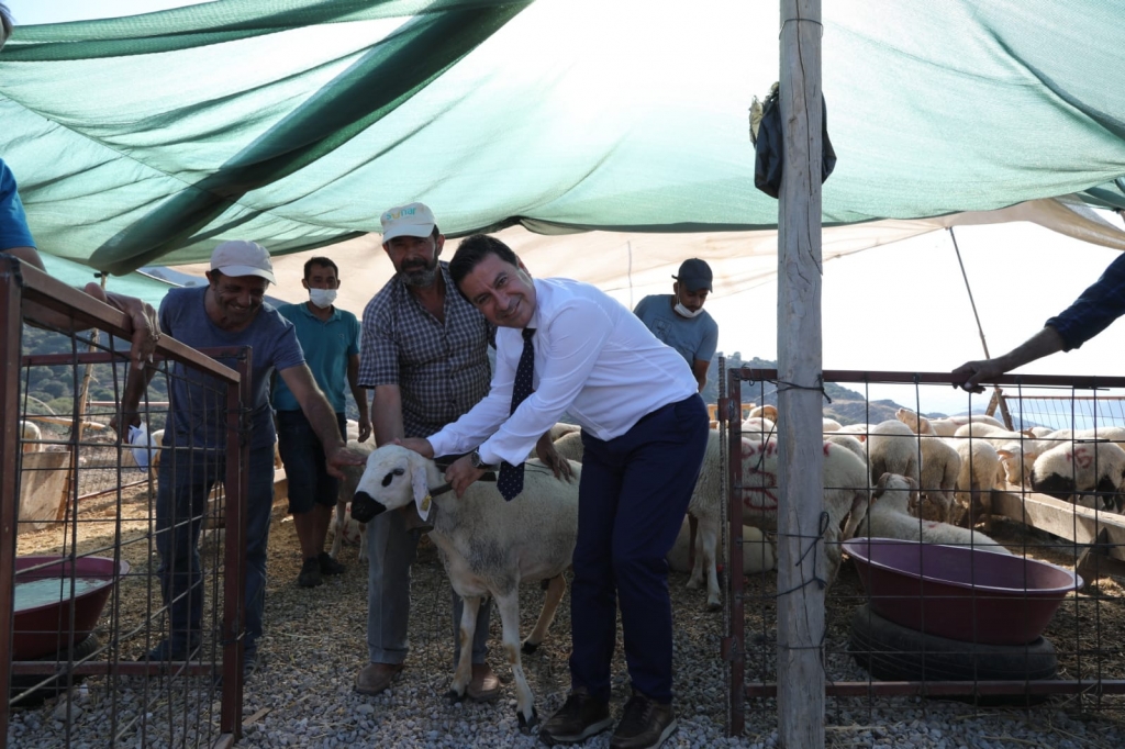 BAŞKAN ARAS KURBANLIK HAYVAN SATIŞ YERİNİ ZİYARET ETTİ