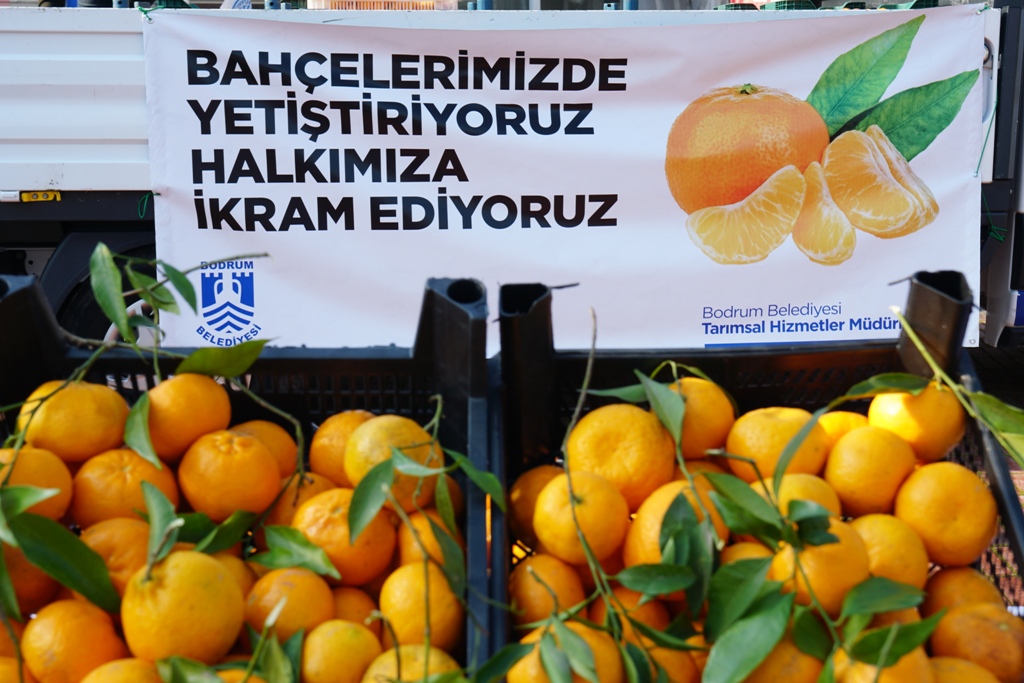 BAHÇELERİMİZDE YETİŞTİRİYORUZ, HALKIMIZA İKRAM EDİYORUZ...