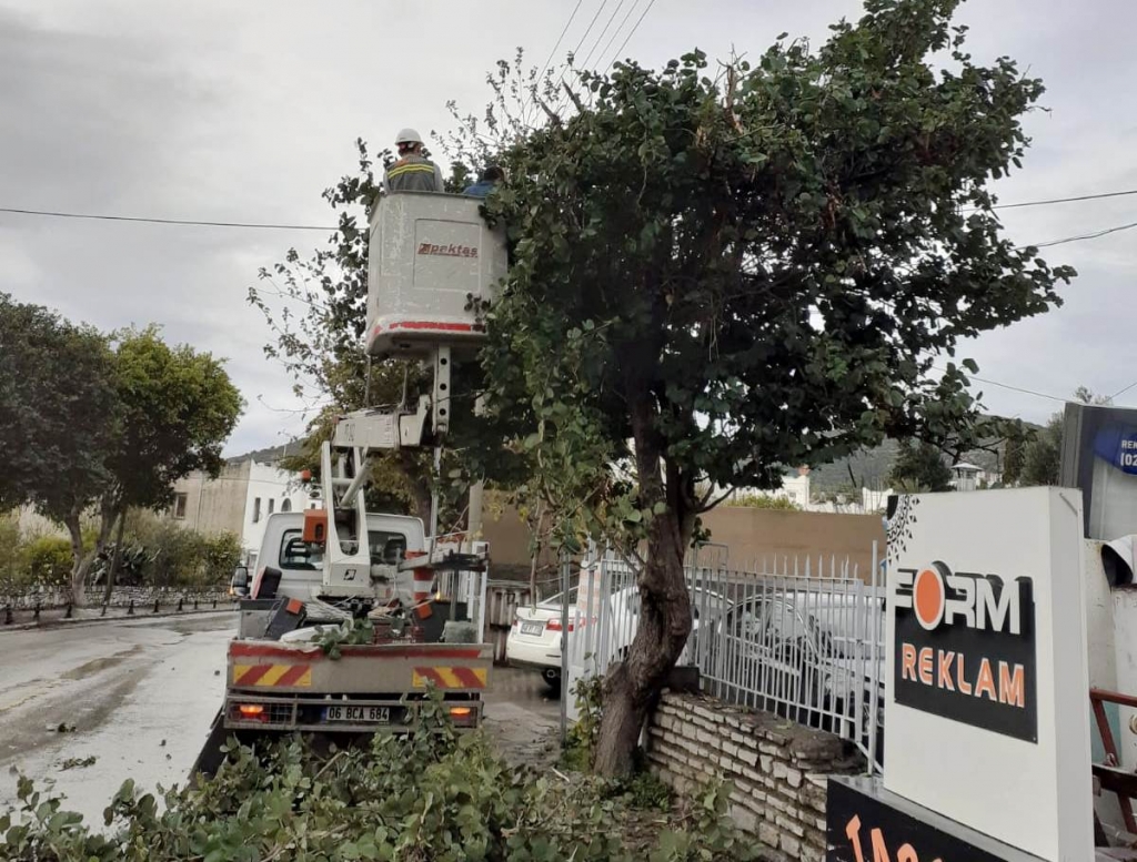 TEHLİKE ARZ EDEN DALLARA MÜDAHALE