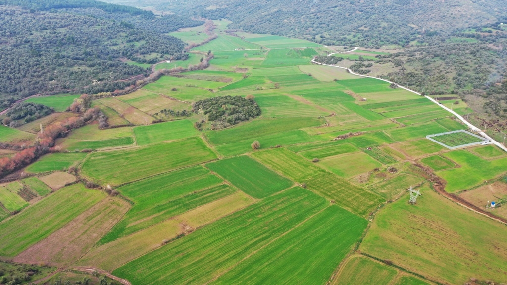 TARIMSAL ÜRETİMDE KÜMELENME MODELİ PROJESİ HAYATA GEÇİRİLİYOR