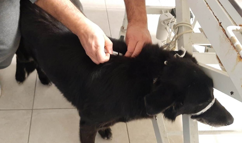 BELEDİYE EKİPLERİNİN GECE MESAİSİ SÜRÜYOR