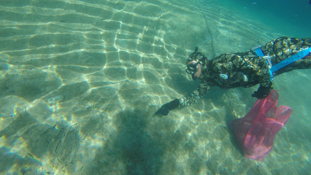 GÜMBET LİMANI’NDA DENİZ DİBİ TEMİZLİĞİ