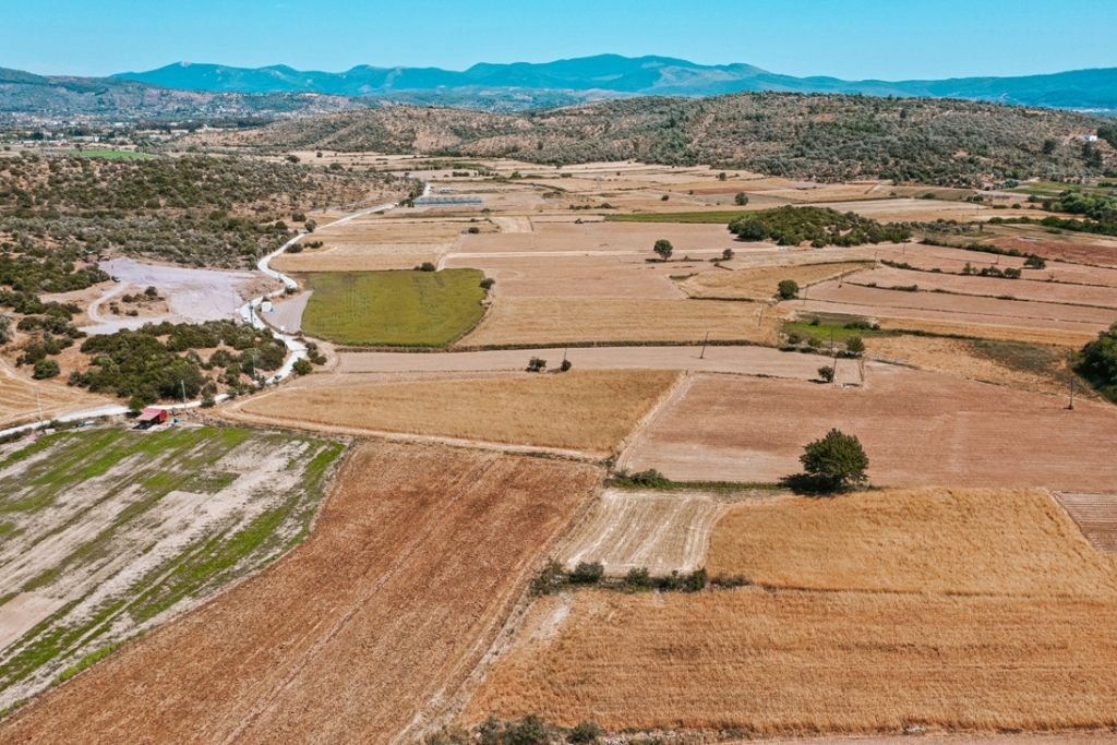 200 DÖNÜM ARAZİ TARIMA KAZANDIRILDI