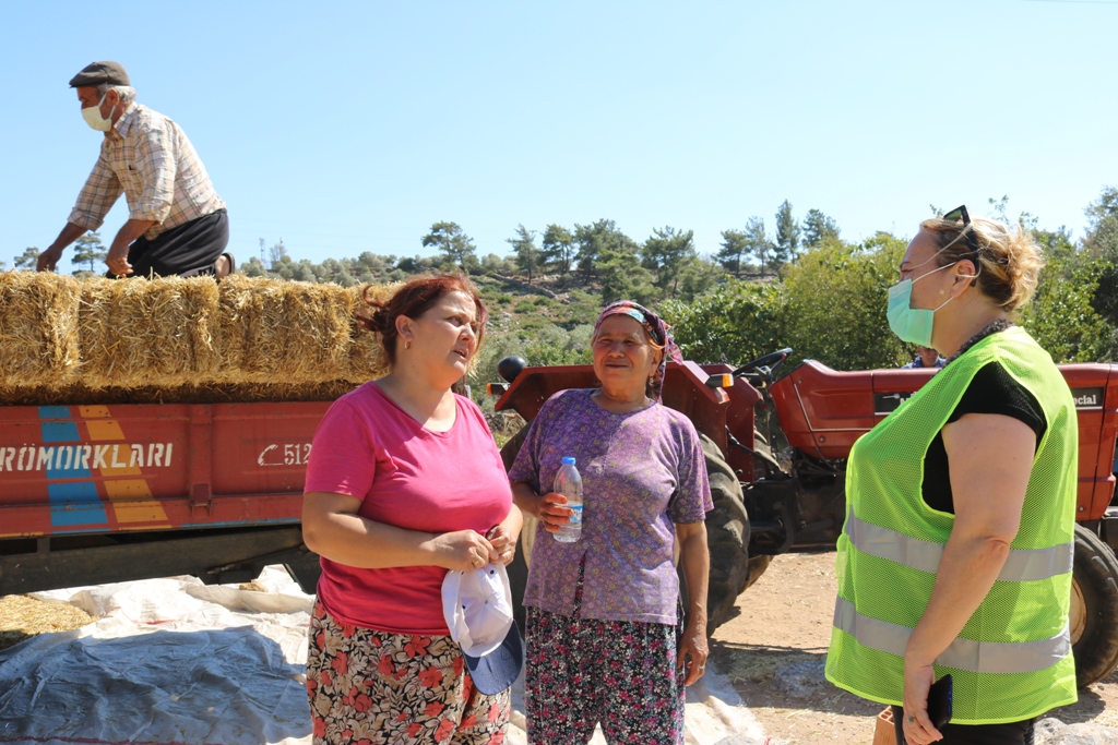 BODRUM BELEDİYESİ HASAR TESPİT KOMİSYONU YANGIN BÖLGESİNDE