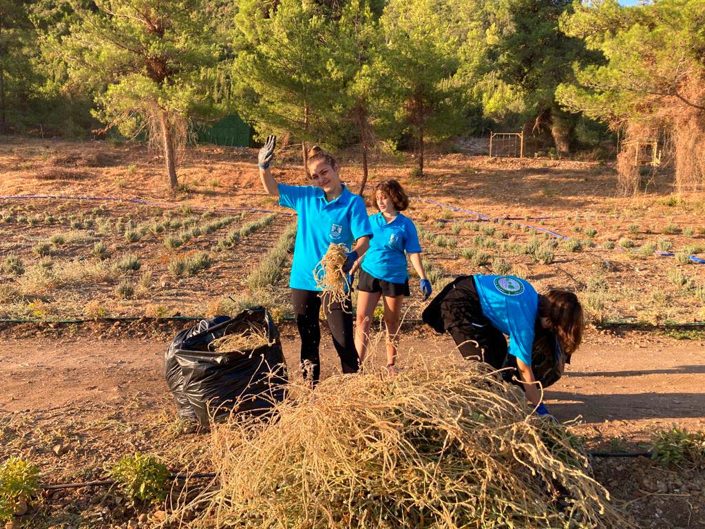 GENÇLİK TARIM KAMPI'NDA 3.DÖNEM BAŞLADI