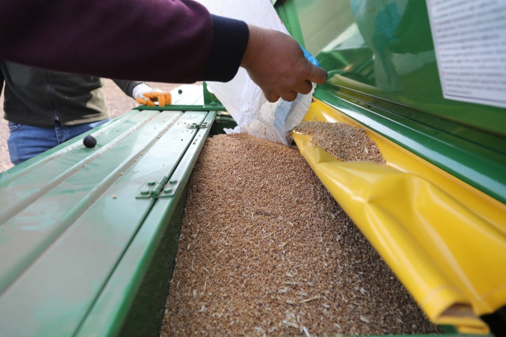 BODRUM TOHUM MERKEZİ ÜRETMEYE VE GÜÇLENMEYE DEVAM EDİYOR