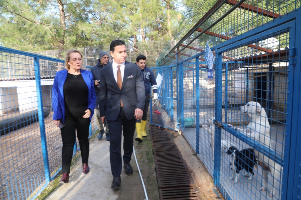 BODRUM BELEDİYESİ BARINAKLARINDA CAN DOSTLAR EMİN ELLERDE