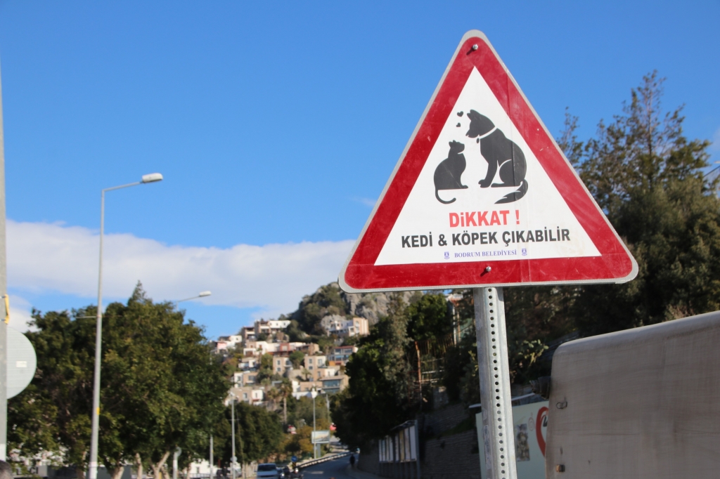 BODRUM BELEDİYESİ’NDEN CANLAR İÇİN TABELA