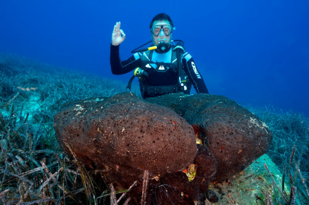 BODRUM’UN SUALTI ZENGİNLİKLERİ BELGESEL OLUYOR