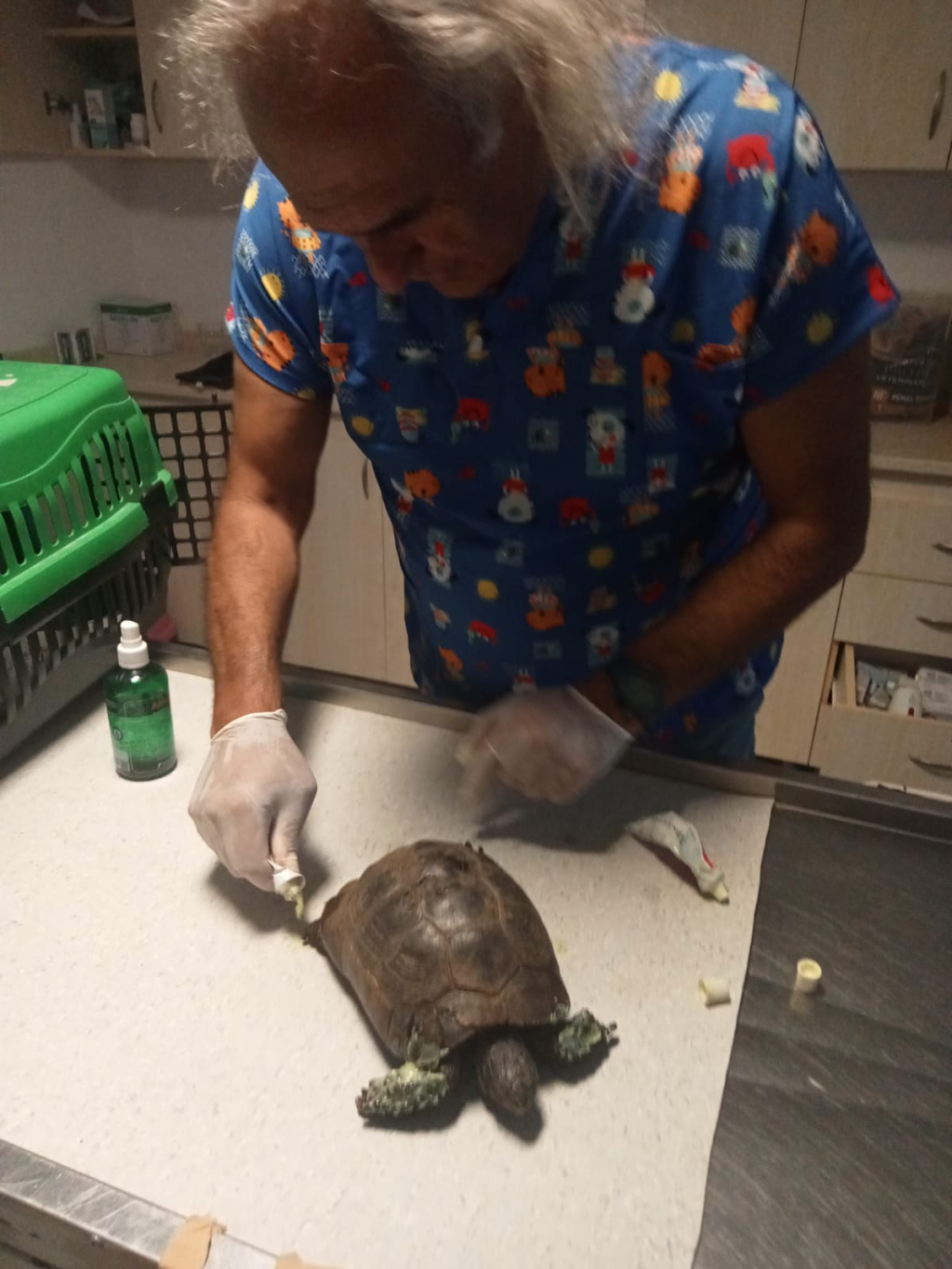 YANGINDA KURTARILAN KAPLUMBAĞALAR TEDAVİ EDİLİYOR