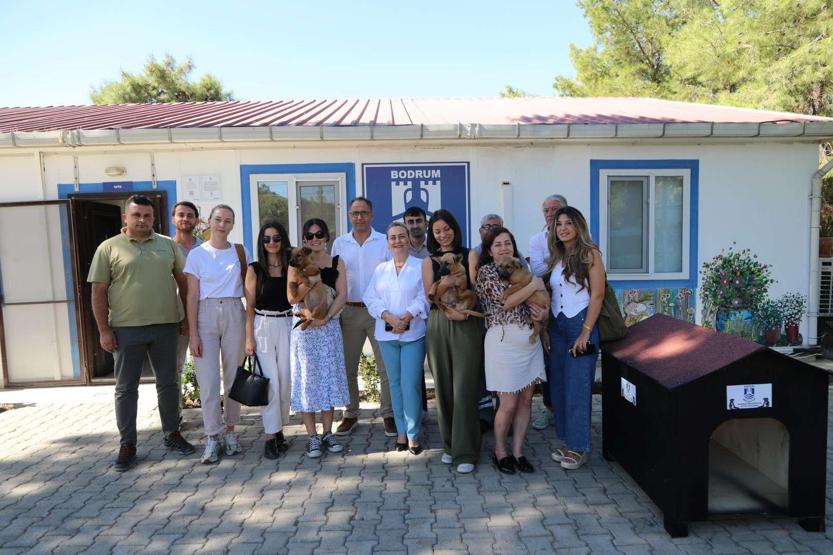 BELEDİYE SOKAK HAYVANLARINI SAHİPLENDİRMEYE DEVAM EDİYOR