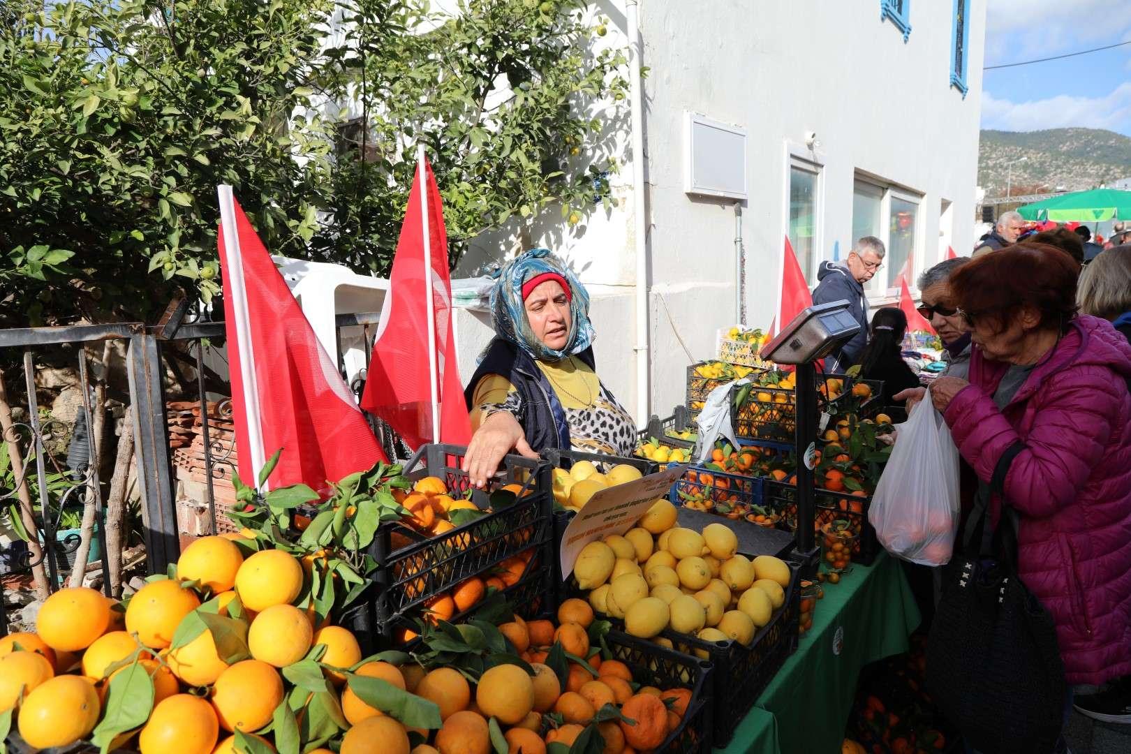 BODRUM MANDALİN FESTİVALİ BURUK GEÇTİ