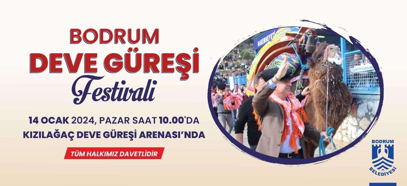 BODRUM DEVE GÜREŞİ FESTİVALİ İÇİN GERİ SAYIM