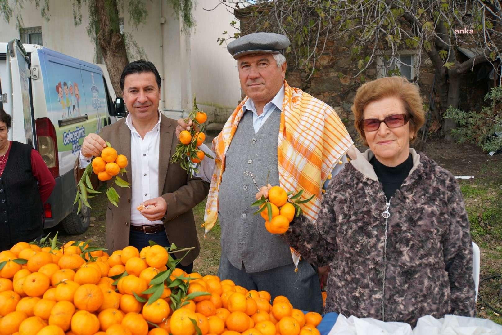 ÜRETİCİDEN MANDALİN ALIMI SÜRÜYOR