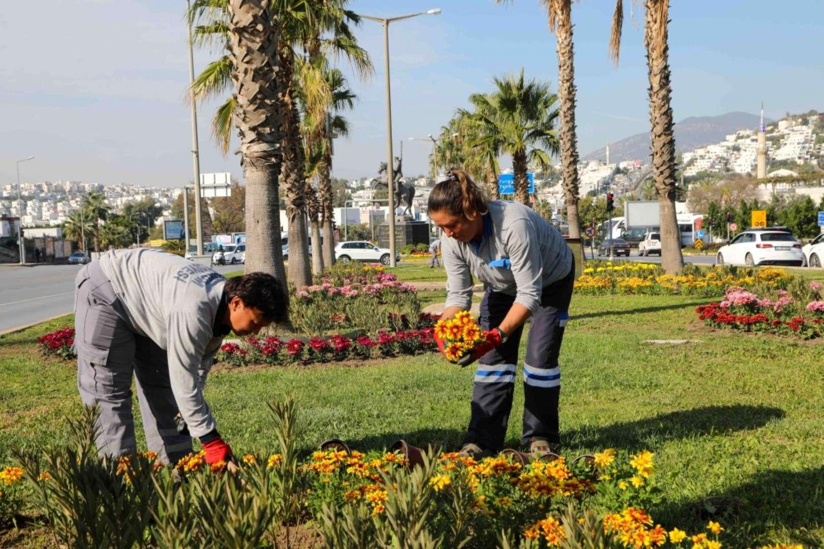 YARIMADA GENELİNDE YEŞİLLENDİRME ÇALIŞMALARI