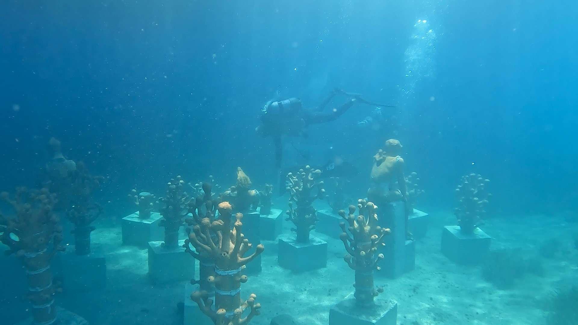 BLUE EXİLE ART PROJECT SUALTI PARKI AÇILDI