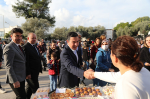 ÖĞRENCİLERDEN ZEYTİN HASADI