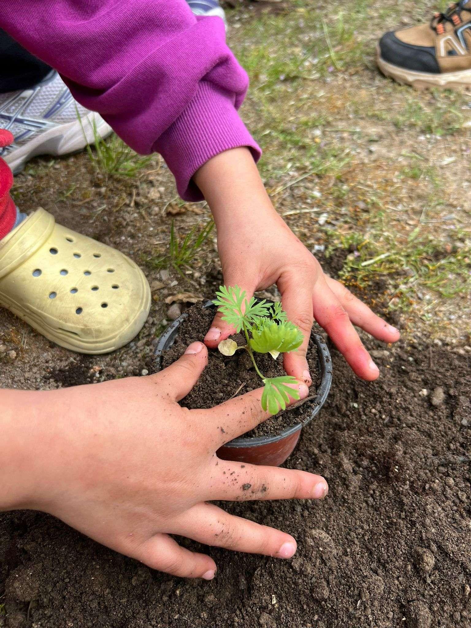 Orman Haftasında çocuklara tohum atölyesi