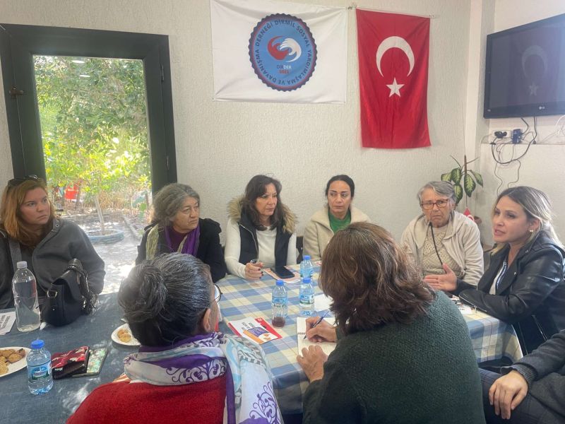 Dirmil Mahallesi Kadın Meclisi Kuruldu