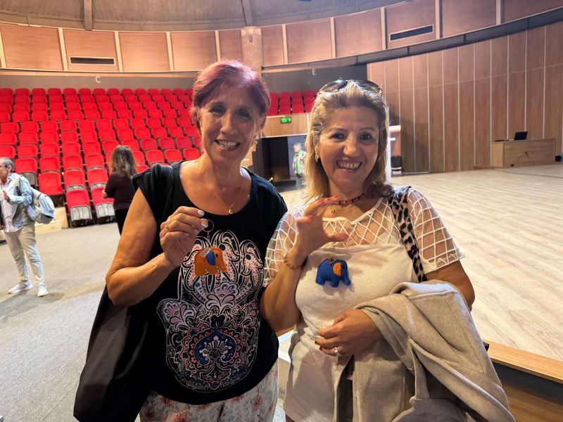 “İnme ve Damar Hastalıklarına Bağlı Bilişsel Etkilenmeden Korunma” semineri verildi