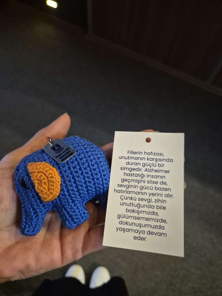 “İnme ve Damar Hastalıklarına Bağlı Bilişsel Etkilenmeden Korunma” semineri verildi