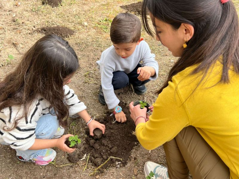 Orman Haftasında çocuklara tohum atölyesi