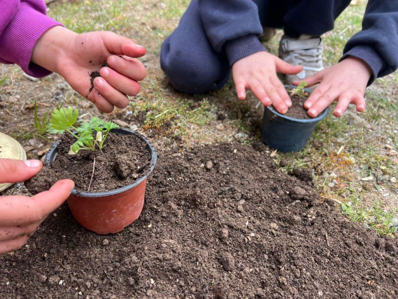 Orman Haftasında çocuklara tohum atölyesi