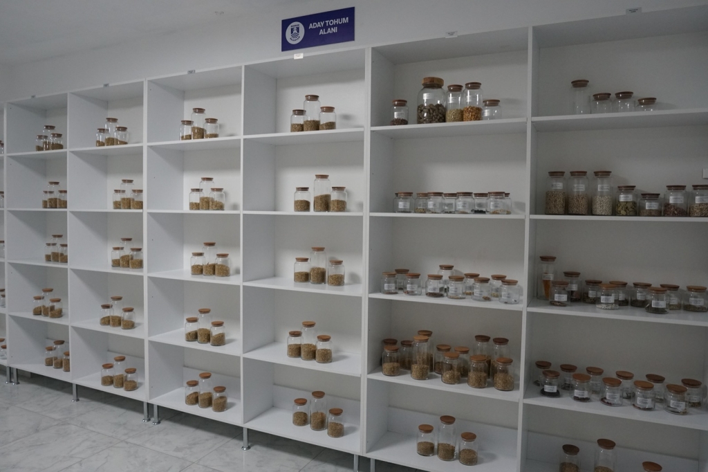 WE DISTRIBUTED ANCESTRAL SEEDS TO OUR CITIZENS