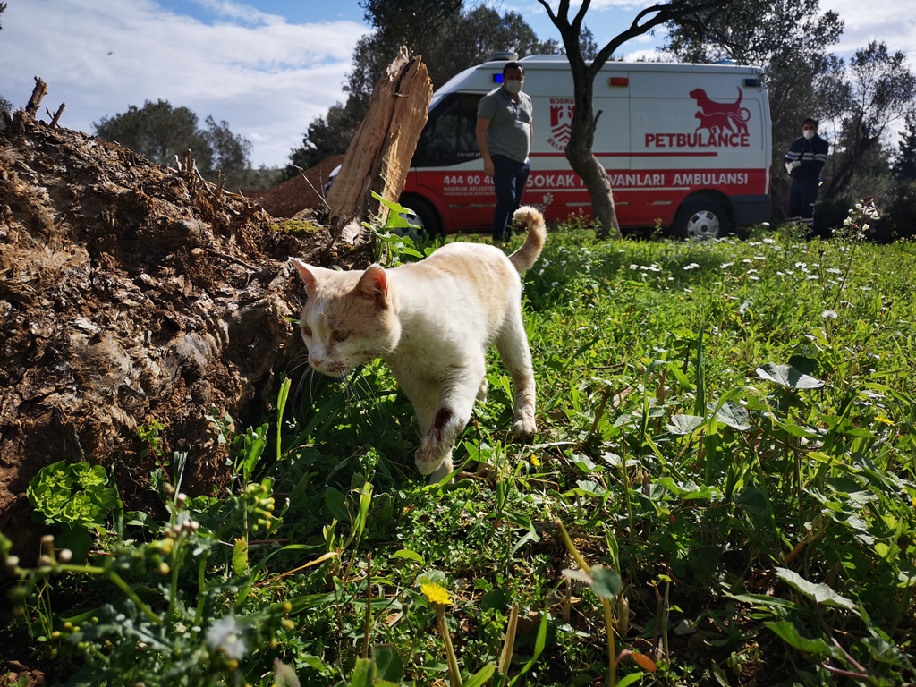 PETBULANCE IS IN SERVICE