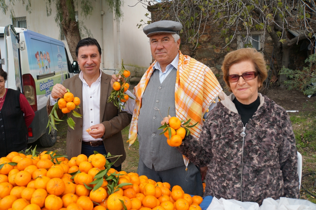 BODRUM MANDARIN GOES ON SALE ACROSS TÜRKIYE