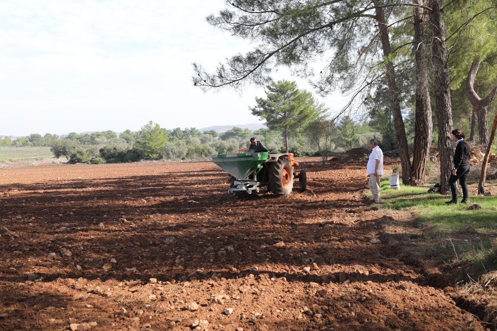 WE PLANTED WHEAT AND CANOLA FOR CLIMATE CHANGE AWARENESS