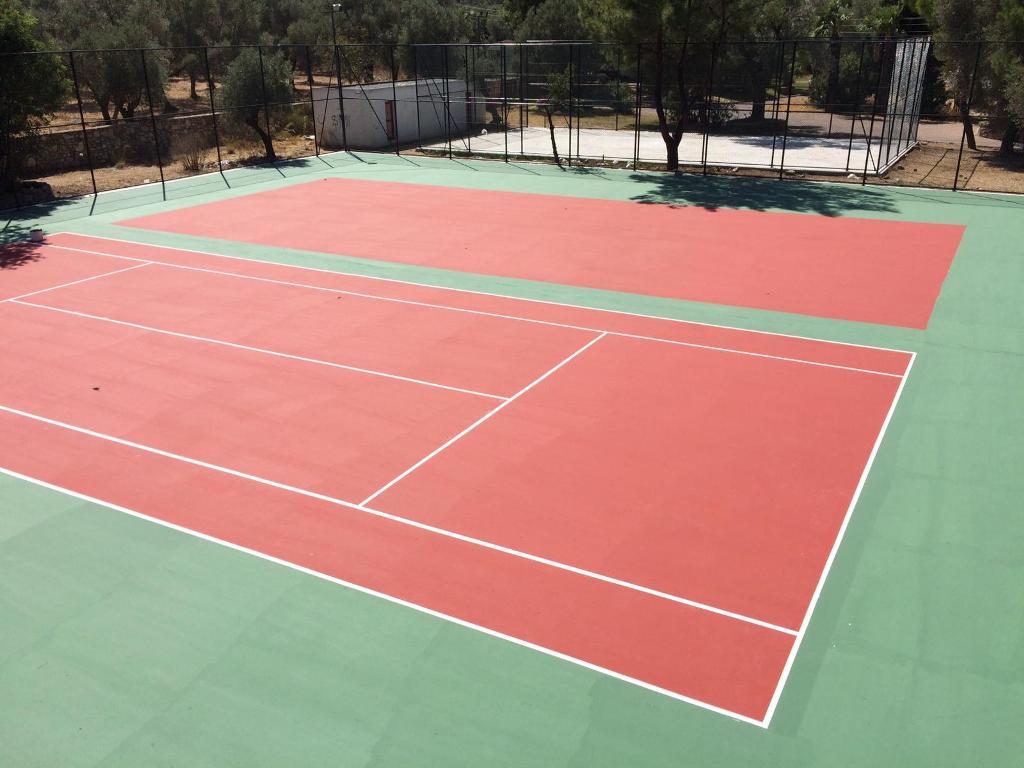 WE HAVE ORGANIZED AND MAINTAINED SPORTS AREAS