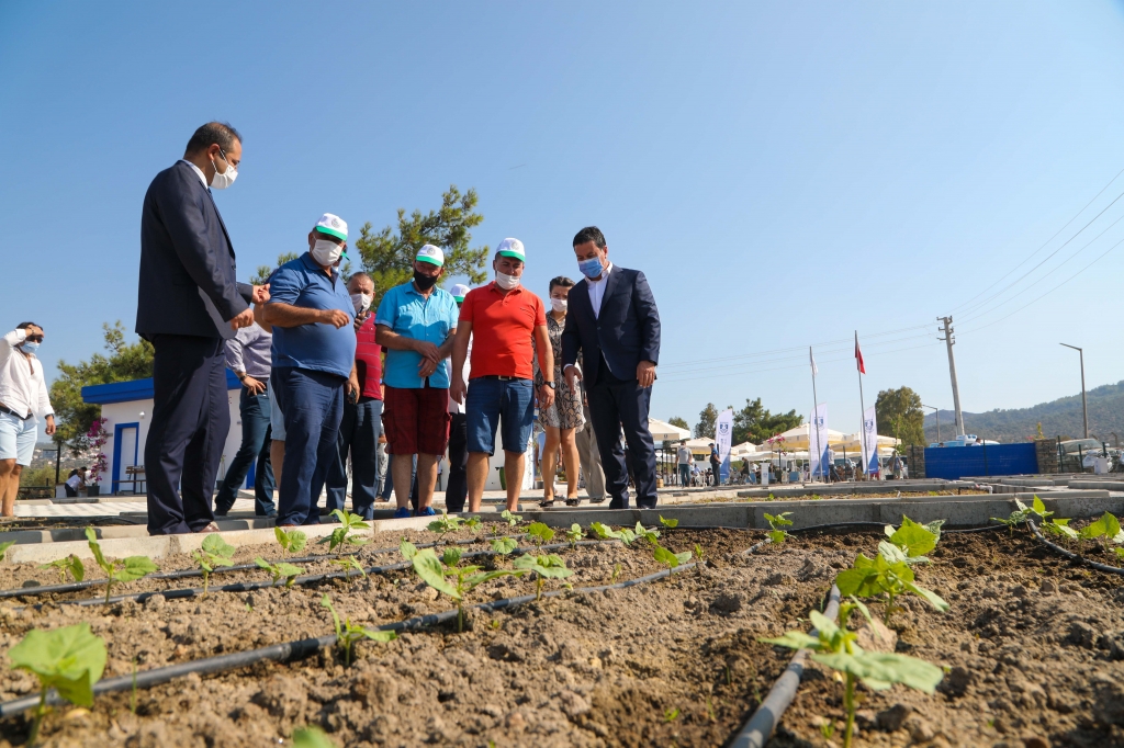 A MODERN SEEDLING PRODUCTION GREENHOUSE INSTALLED